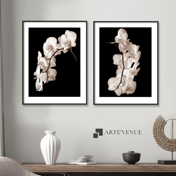 Silhouette Reversal II