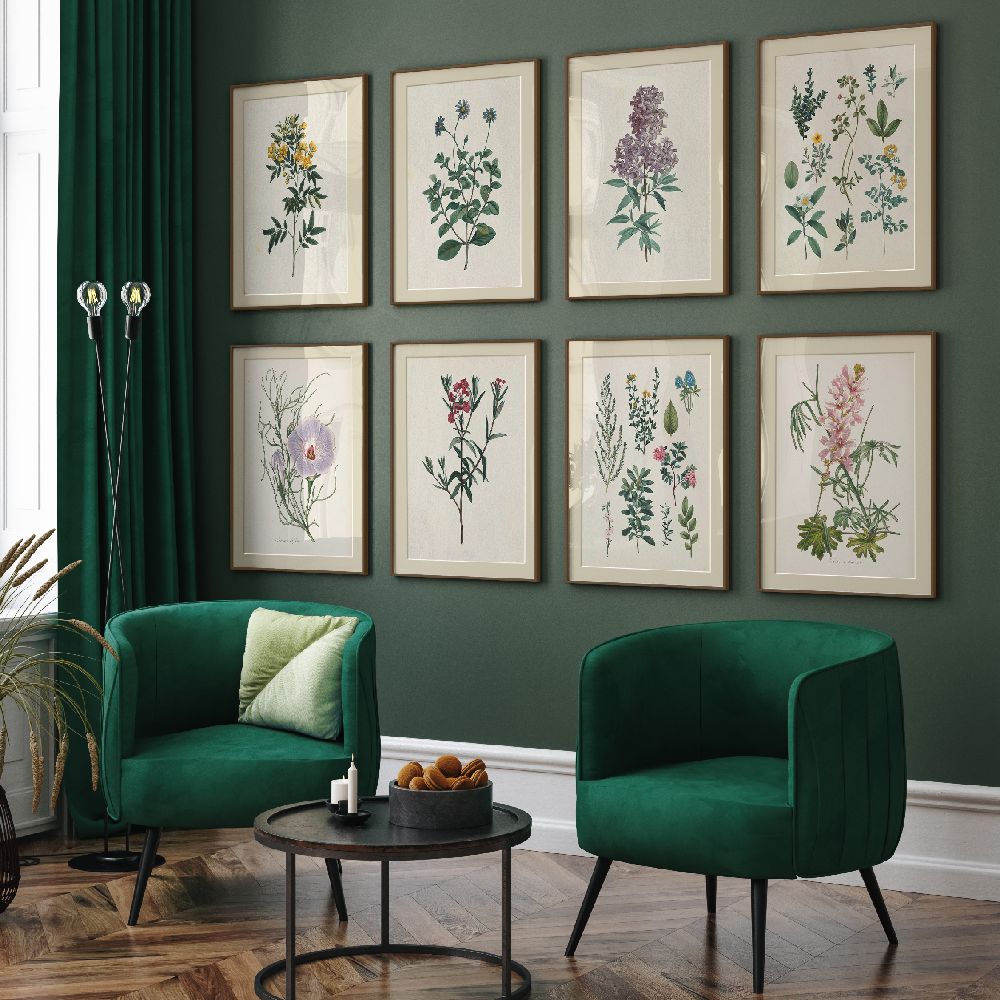 Antique Botanical
