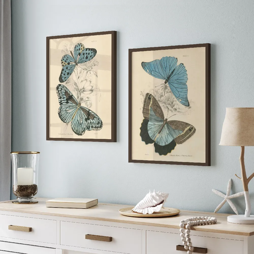 Assortment Butterflies