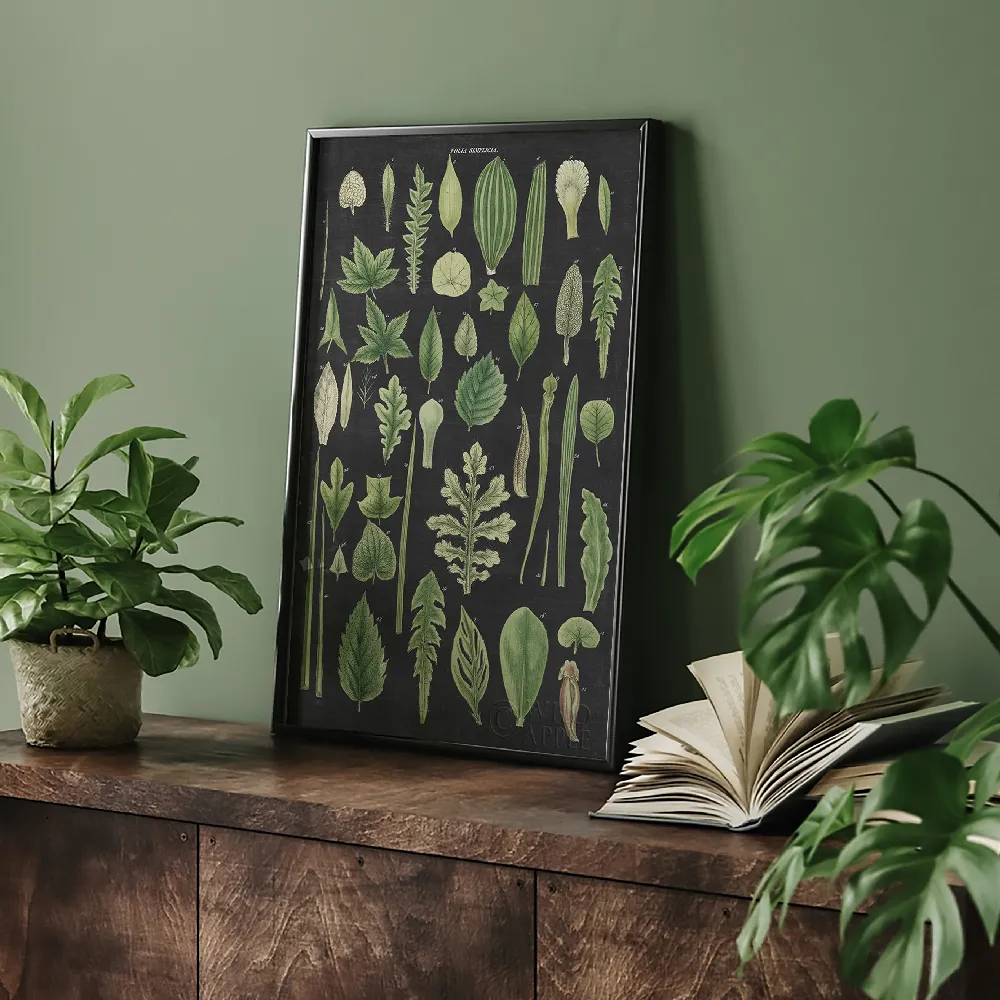 Assortment of Leaves