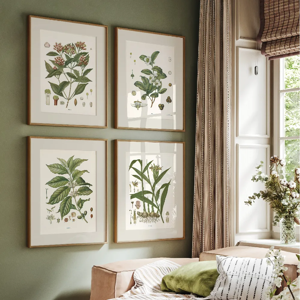 Clove Botanical